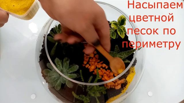 Флорариум с домиком своими руками #флорариум #суккуленты #кактусы