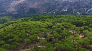 Как перестать сравнивать себя с другими людьми?