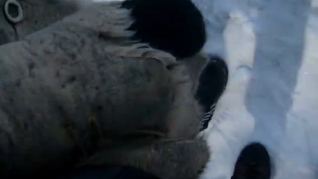 Гонки троек смотреть онлайн