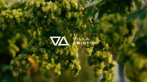 пивоварня Villa Aristov