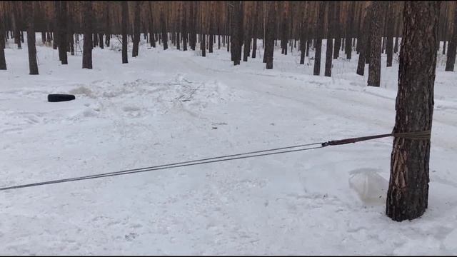 УАЗ - первые полевые испытания! смотреть онлайн