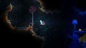 ДРАГОЦЕННЫЕ ДЕРЕВЬЯ ТЕРРАРИЯ 1.4 (ОБНОВЛЕНИЕ)