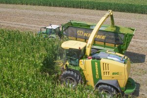 Кормоуборочный комбайн Krone BIG X 770, демонстрационный показ в Саратовской области.