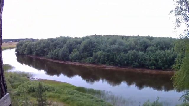 Добываю муравьёв. Делаю настойку из муравьёв. смотреть онлайн