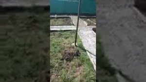 Установка затеняющей сетки для огородних культур.( Наш вариант)