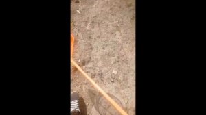 Ловля стрекоз часть #3