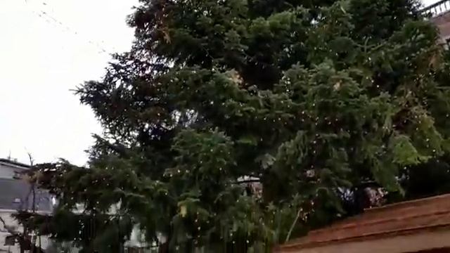 Новый год 2022.Праздничное оформление города.