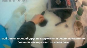 Рыбалка на сига зимой / как поймать сига зимой / снасти на сига"