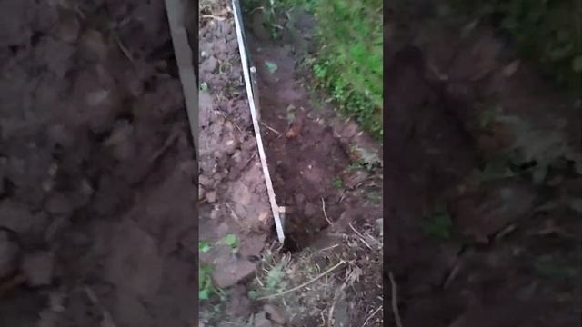 Грядка№8: 1)Начинаю траншею (~65см) как основание по Хольцеру 2023сен18 смотреть онлайн