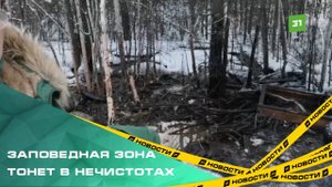 Ассенизаторские машины сливают отходы в лес рядом с озером Увильды