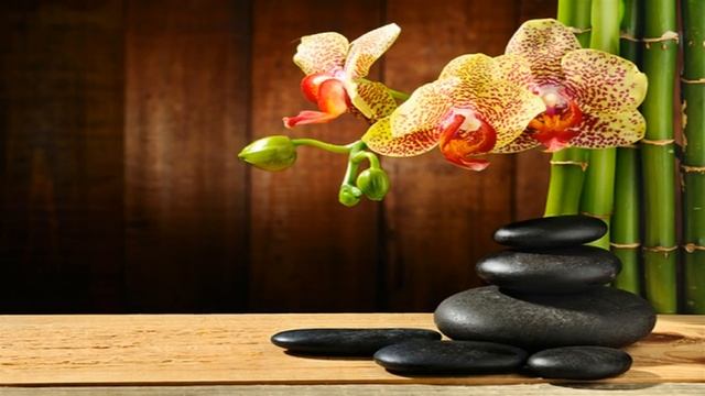 Музыка для Медитации и Мудрых Мыслей | Музыка для Медитации Альбом смотреть онлайн