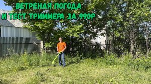 Ветренная погода и тест триммера за 990р