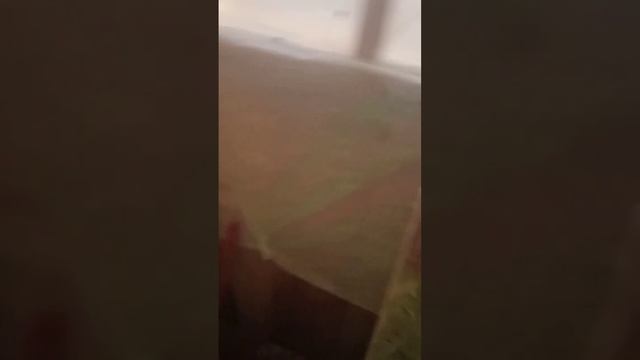 апи домище или как жить вместе с пчелами 2 смотреть онлайн