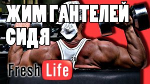жим гантелей сидя | техника упражнений