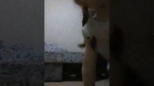 Я делаю кувырок