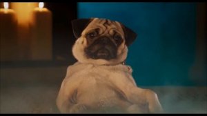 Псы под прикрытием    Дублированный трейлер HD.mp4