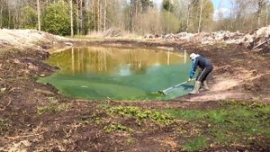 Цветет вода в пруду!