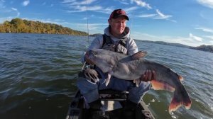 These Two Baits Catch HUGE Catfish