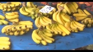 Кому и почему нельзя есть бананы