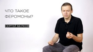 Что такое феромоны