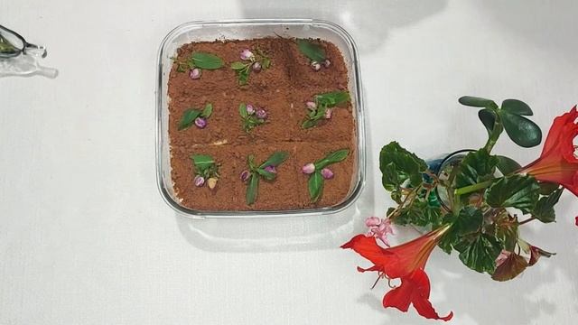 Молочный и апельсиновый мусс. Десерт ко Дню святого Валентина ❤