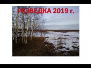 Разведка 2019 г.