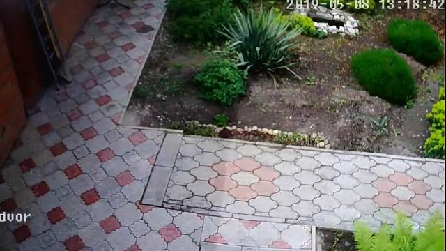 Задний двор смотреть онлайн