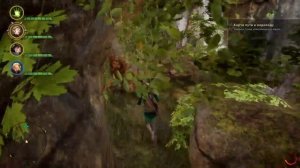 Dragon Age™: Инквизиция Карта пути к водопаду