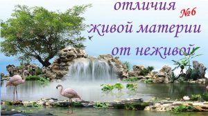 ПРИЗНАКИ ЖИВОЙ МАТЕРИИ-№6 РИТМИЧНОСТЬ