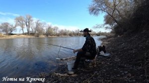 не БЕШЕНАЯ РЫБАЛКА на Волге и Озере, Налим и Карась.