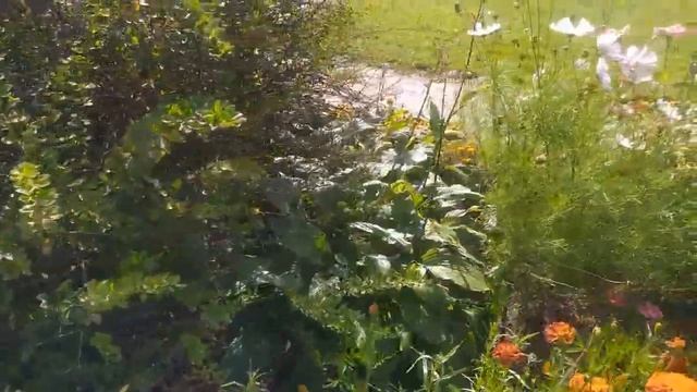 Никях под покровом ночи, пакет около гаражей......Лена, вступила на зыбкий путь...#ленахеппи смотреть онлайн