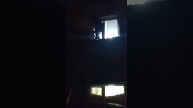 Что еще делать ночью? Ломать свою дверь смотреть онлайн