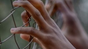 089 Новые Интересные Истории о Реинкарнации