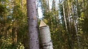 изготовление солонца