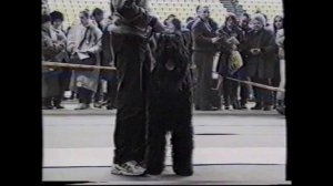 1997. Выставка Евразия-97, черные терьеры.