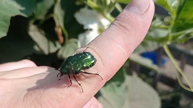 С ними не соскучишься! смотреть онлайн