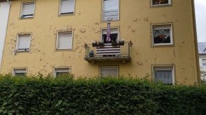 Как живут бедные немцы #социальщики