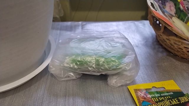 ЛУЧШИЕ СПОСОБЫ ПОСЕВА ПЕРЦЕВ. (КАК ЗАМОЧИТЬ СЕМЕНА НА ПРОРАЩИВАНИЕ).