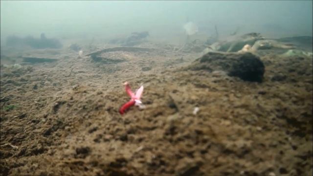 Рак в районе КЖБИ смотреть онлайн