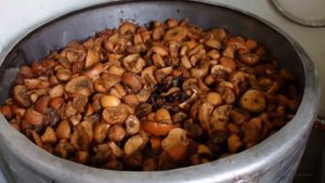 Подкормка Браги на диких дрожжах