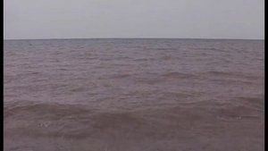 Асылбек Озубеков -фильм апамдын махабаты: Жаралуу ак куу