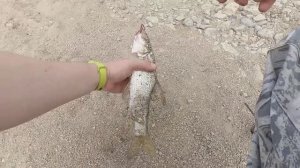 Рыбачу на фидер в селе Новотроицкое. Беседую с местными рыболовами.