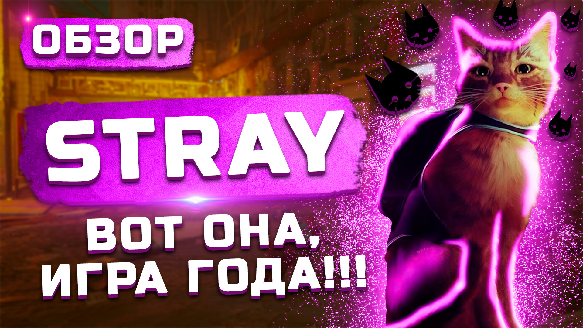 Stray игра обзоры. Stray игра. Stray обзор. Stray концовка. Стрэй игра концовка.