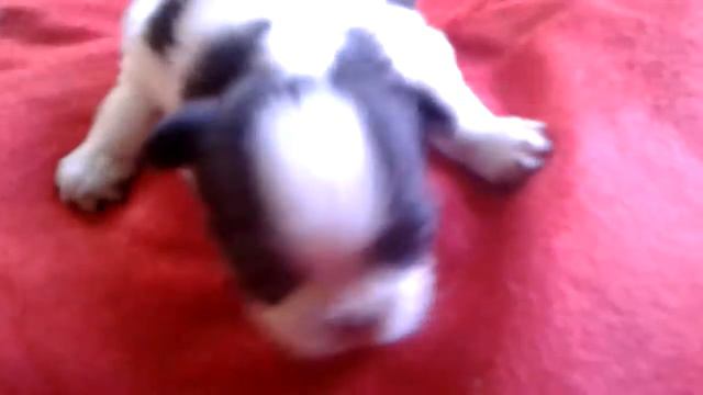 Ясуми 2 недели смотреть онлайн