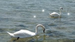 Путешествие по Крыму ❤️??