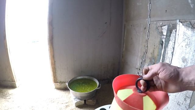 Новый курятник с выгулом для содержания цесарки. Курятник на 30 кур.