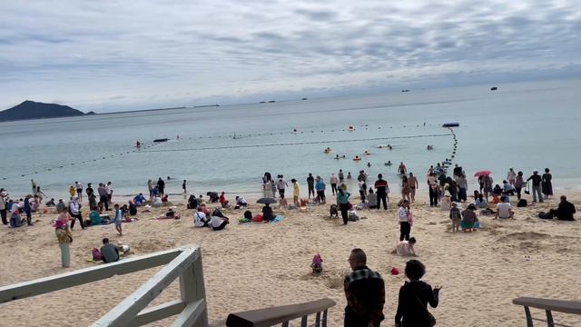 Palm Beach,гуляем по Дадунхаю,пекинская утка#хайнань#хайнань2024