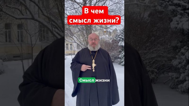 В чем смысл жизни ?