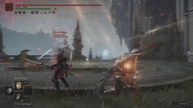 Simple Bestial Sling Swap For Finishing - Elden Ring смотреть онлайн