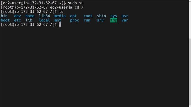 3. Linux File System| Linux Tutorial|Linux Commands| Playlist for Everyone| Amazon| DevOps